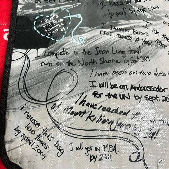 Lot of 3 Lululemon Athletica Reusable Shopping Bags Small White, VTG 2009, Red - Picture 8 of 14